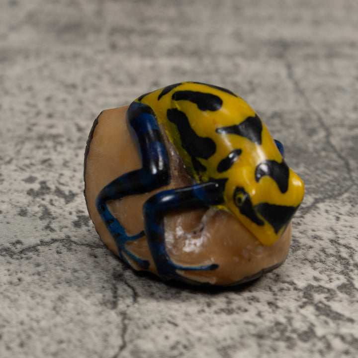 Yellow And Black Poison Dart Frog Tagua Carving