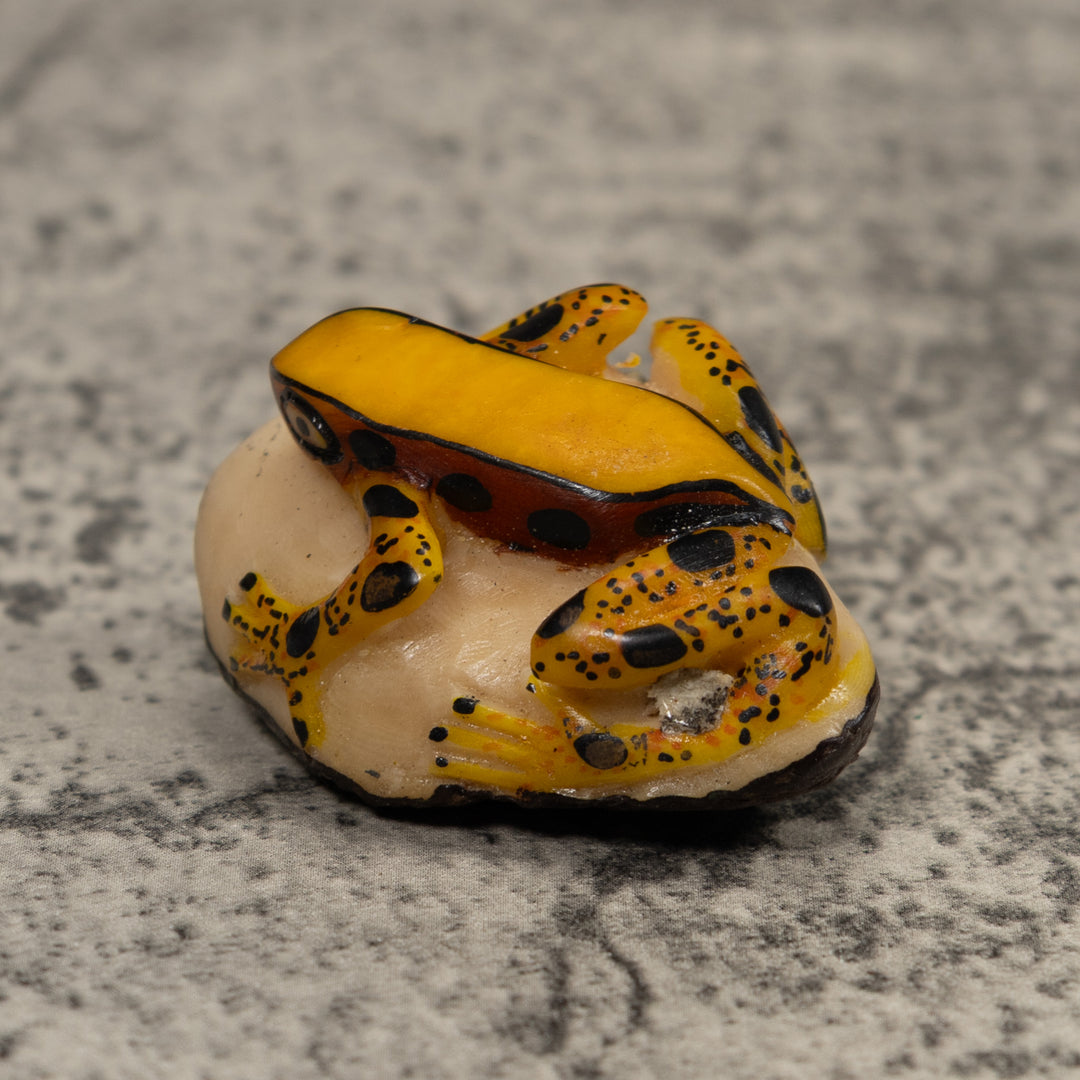 Poison Dart Frog Tagua Carving