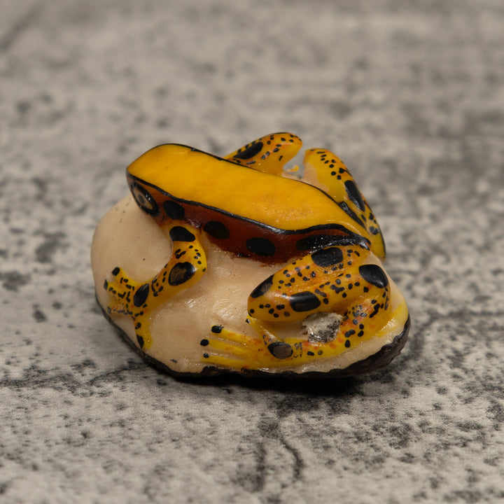 Poison Dart Frog Tagua Carving