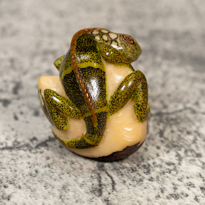 Iguana Lizard Reptile Tagua Carving