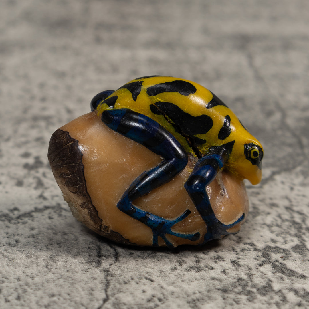 Yellow And Black Poison Dart Frog Tagua Carving