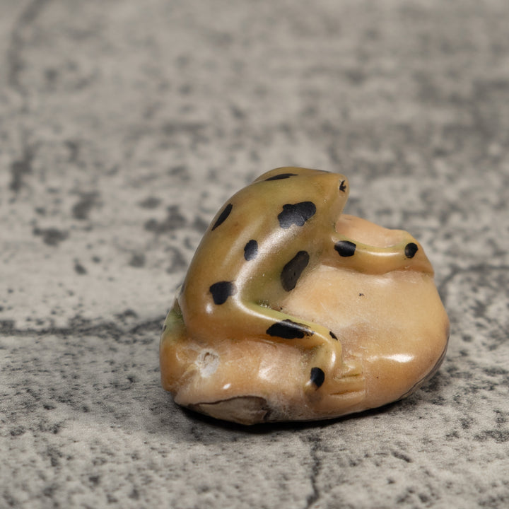 Pale Yellow And Black Jungle Frog Tagua Carving