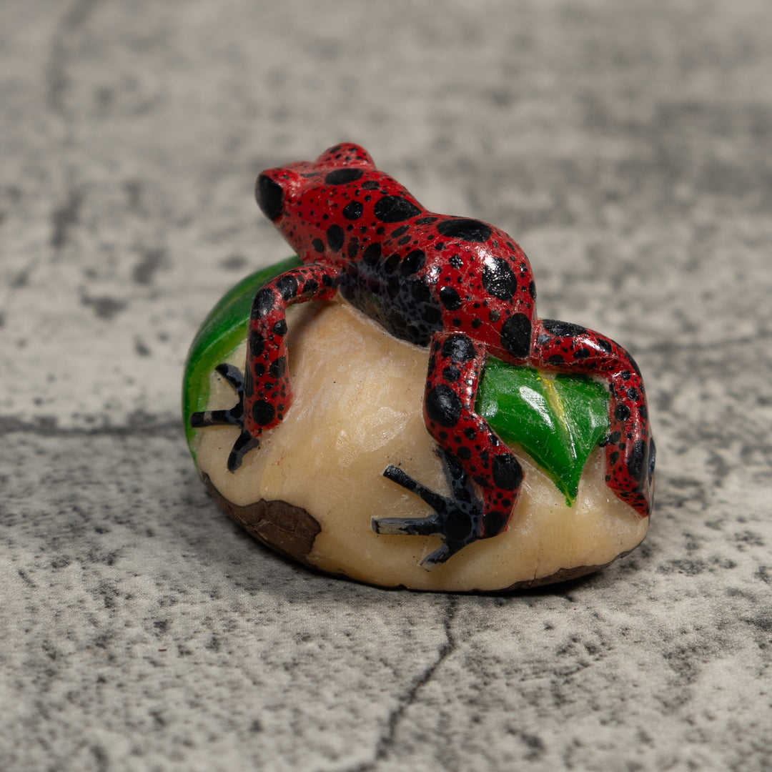 Black And Red Poison Dart Frog Tagua Carving