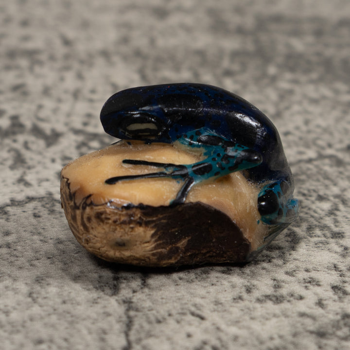 Vintage Black And Green Poison Dart Frog Tagua Carving