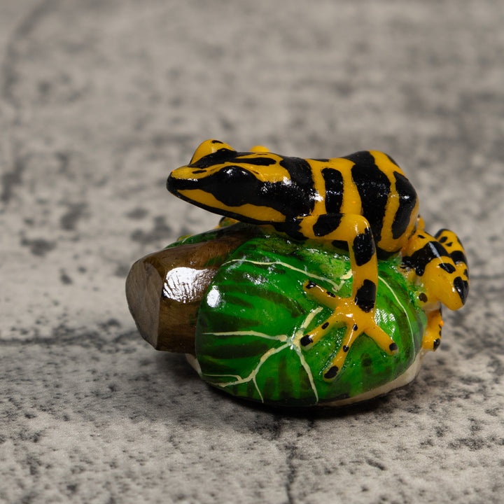 Black And Gold Poison Dart Frog Tagua Carving
