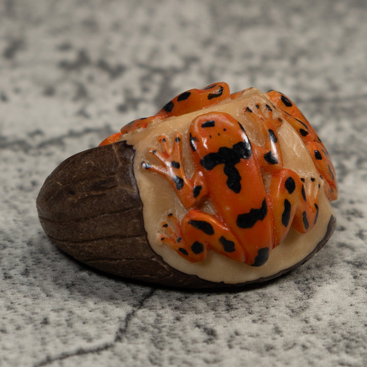 Triple Golden Frog Tagua Carving