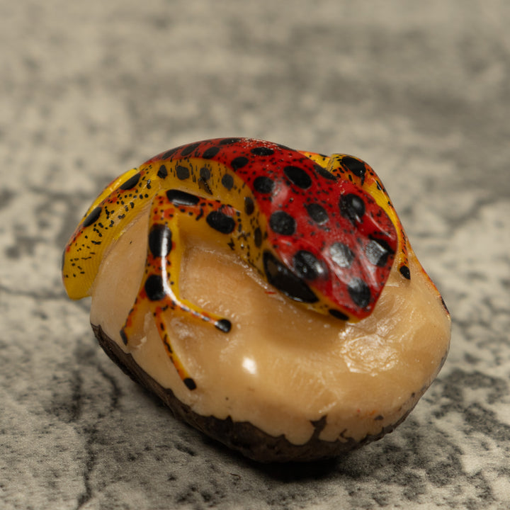 Vintage Poison Dart Frog Tagua Carving