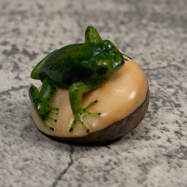 Vintage Green And Black Poison Dart Frog Tagua Carving