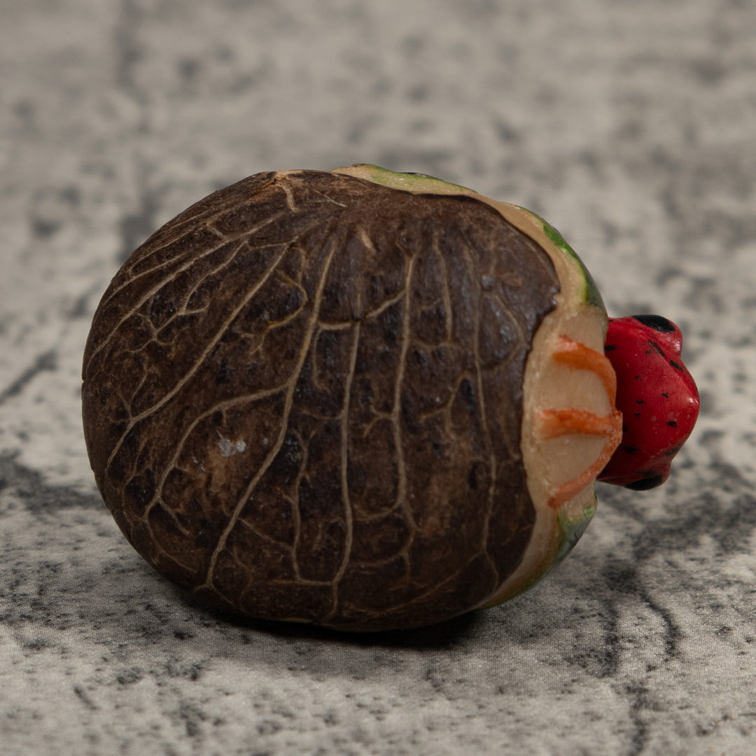 Vintage Red Green And Blue Poison Dart Frog Tagua Carving