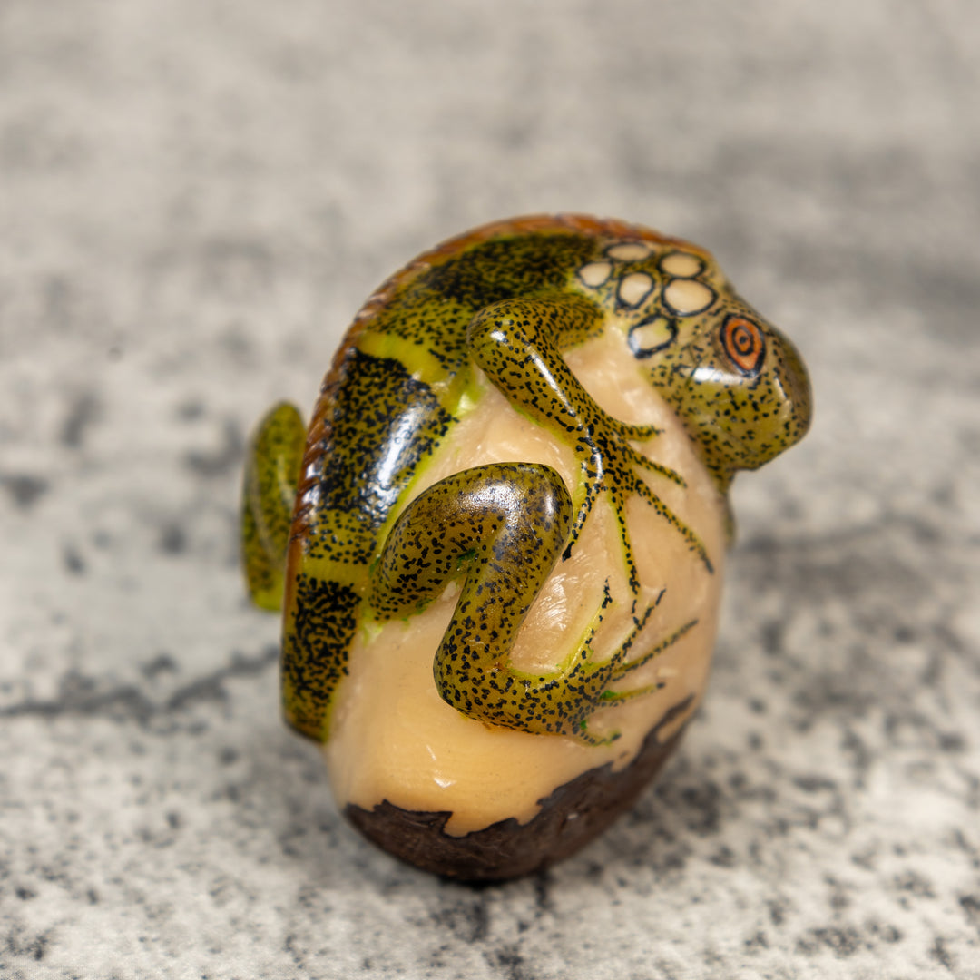 Iguana Lizard Reptile Tagua Carving