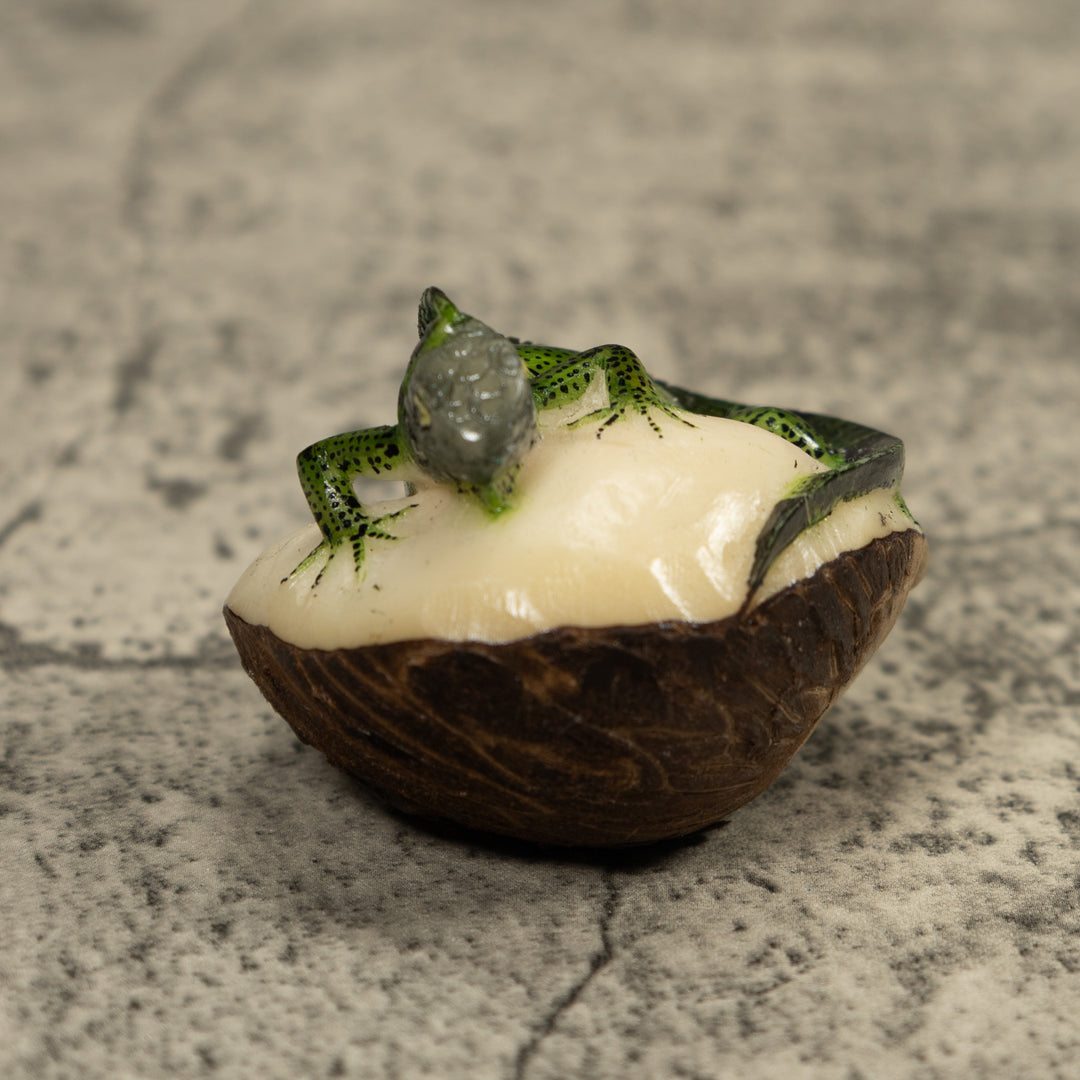 Iguana Lizard Tagua Carving