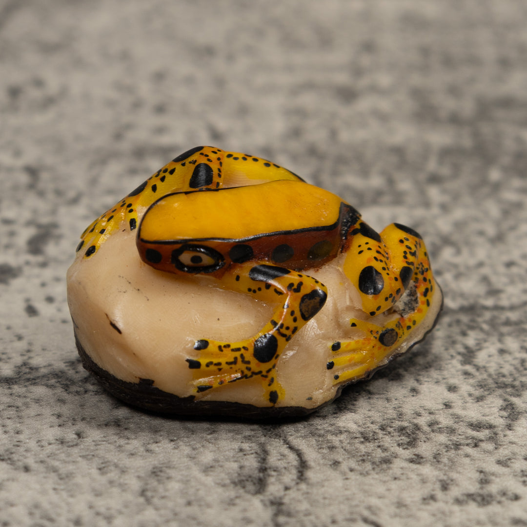 Poison Dart Frog Tagua Carving