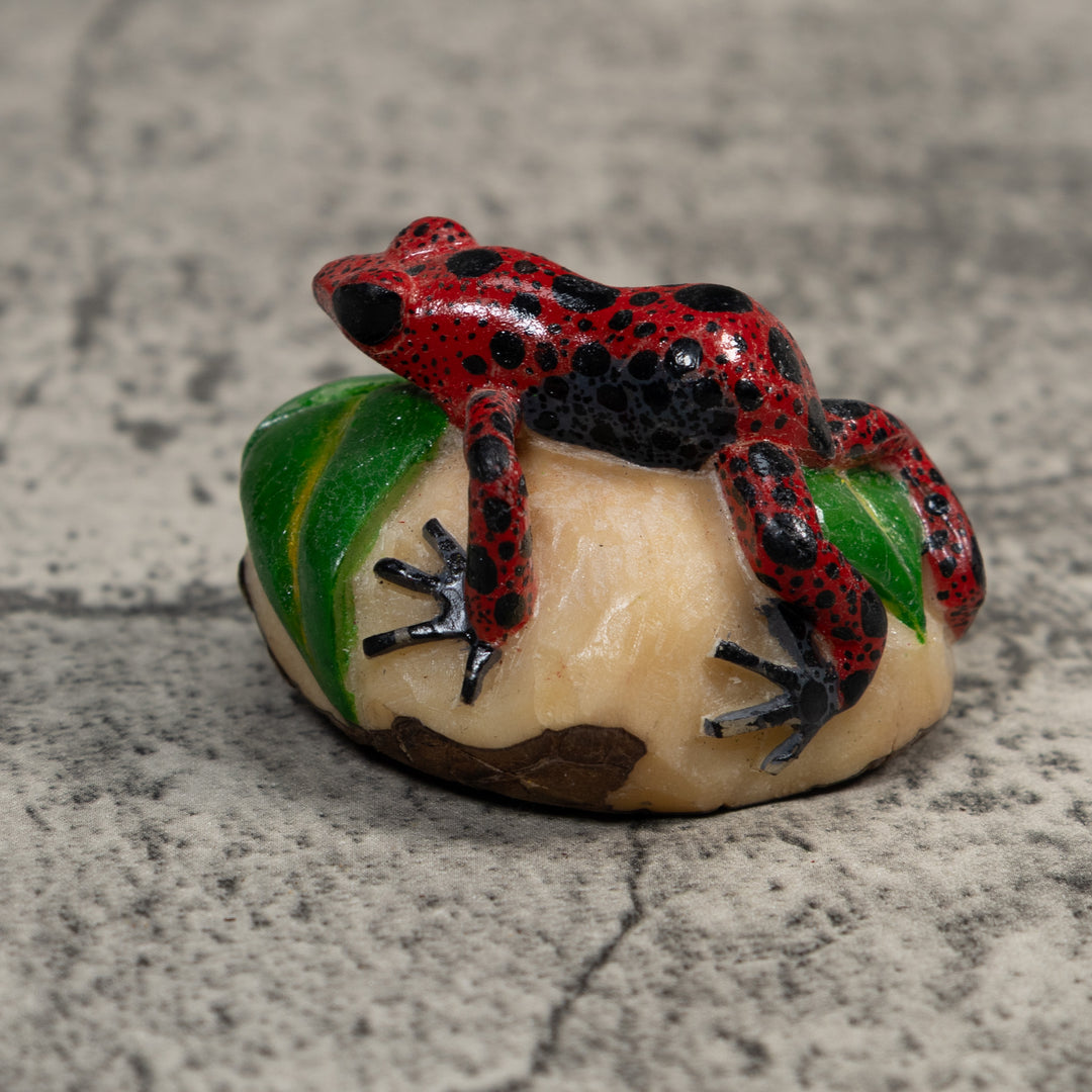 Black And Red Poison Dart Frog Tagua Carving