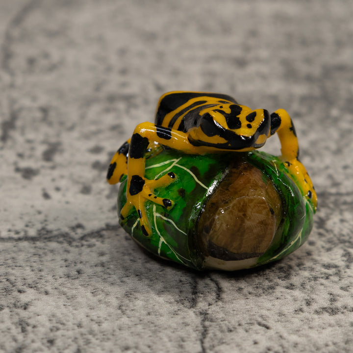 Black And Gold Poison Dart Frog Tagua Carving