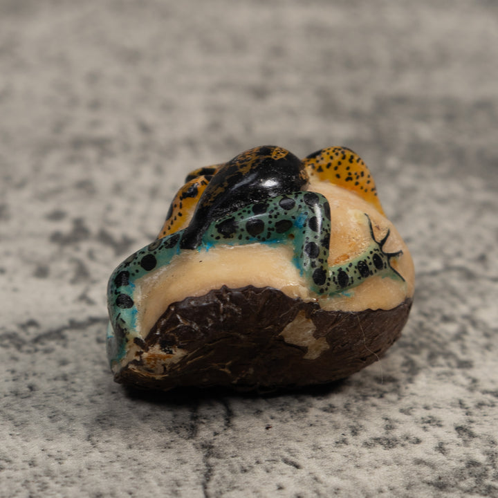 Vintage Blue Gold And Black Poison Dart Frog Tagua Carving