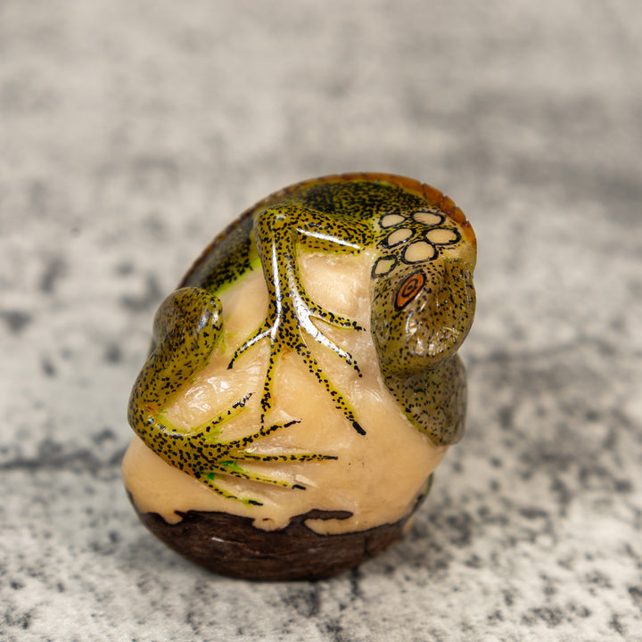 Iguana Lizard Reptile Tagua Carving