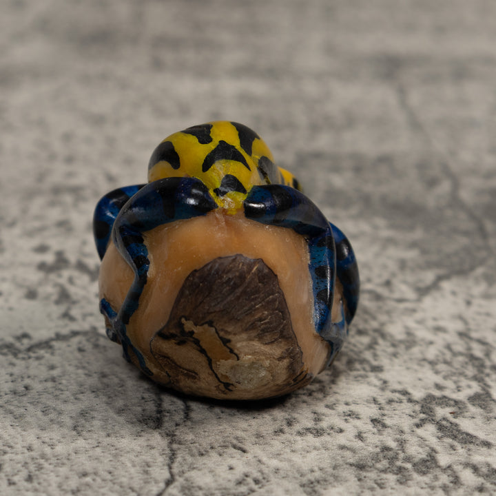Yellow And Black Poison Dart Frog Tagua Carving