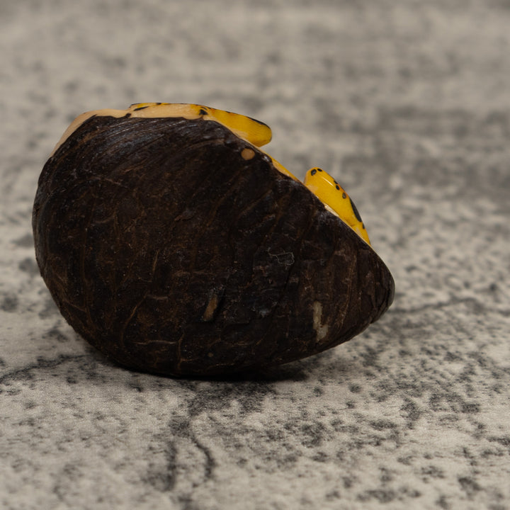 Poison Dart Frog Tagua Carving