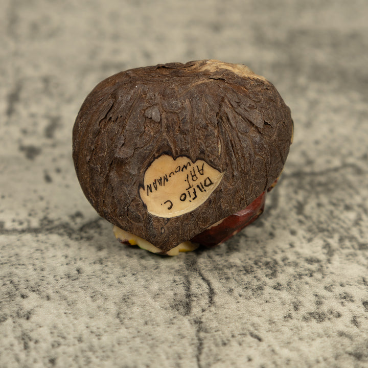 Green And Black Poison Dart Frog Tagua Carving