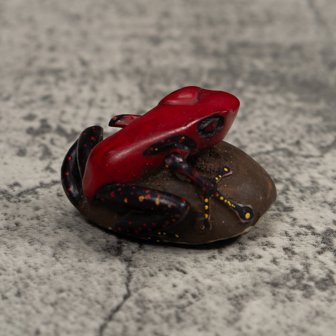 Poison Dart Frog Tagua Carving