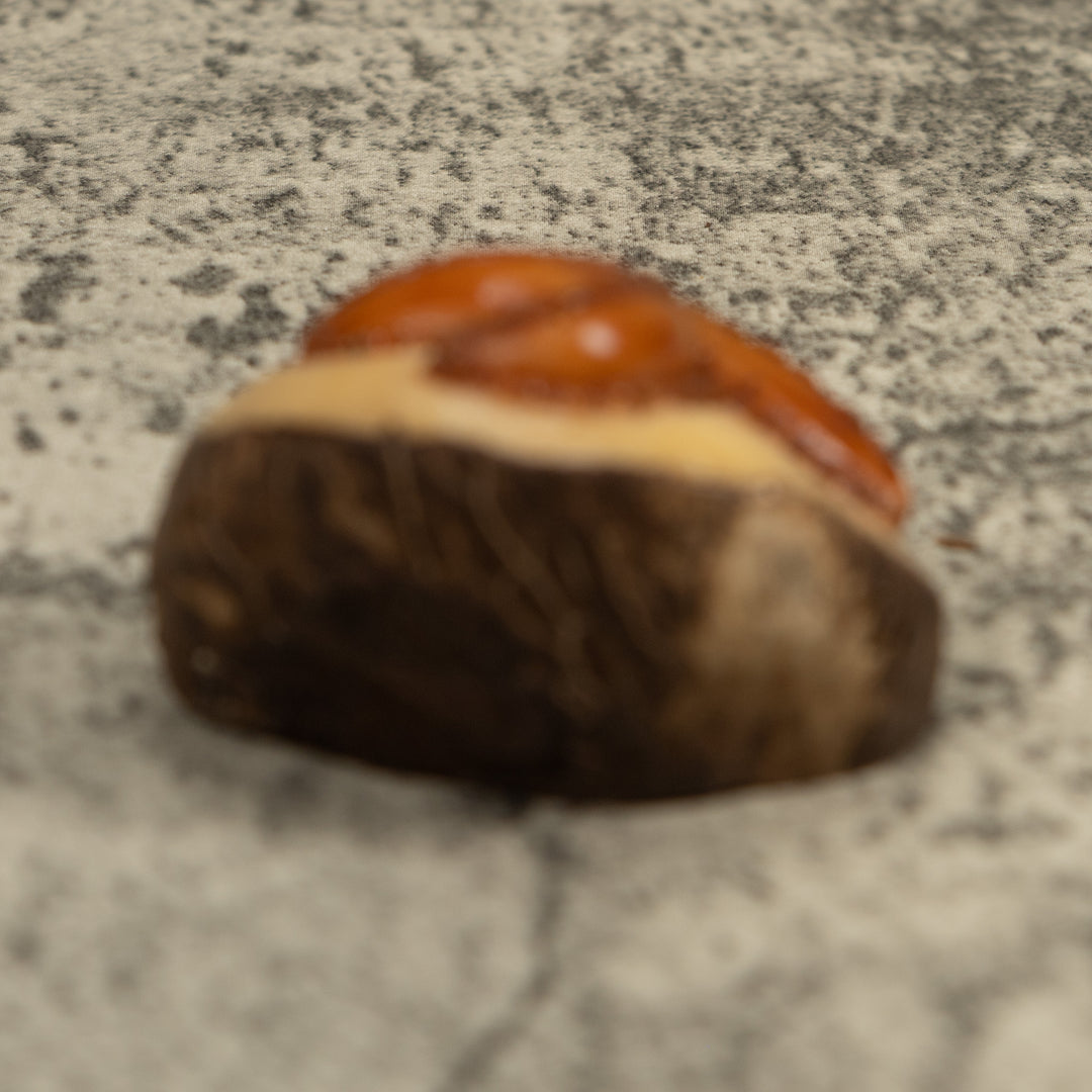 Starfish Tagua Carving