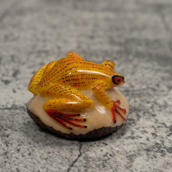 Vintage Gold Red And Black Frog Tagua Carving