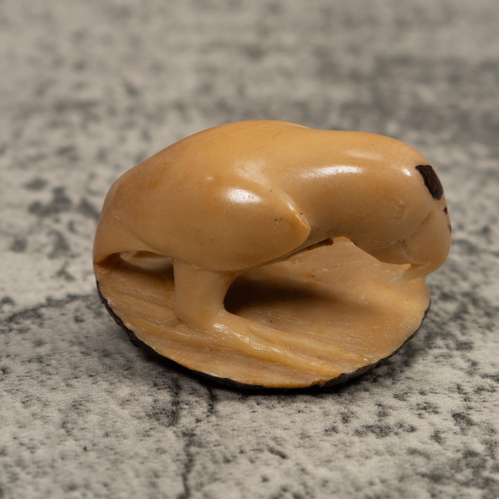 Vintage White Parrot Bird Tagua Carving