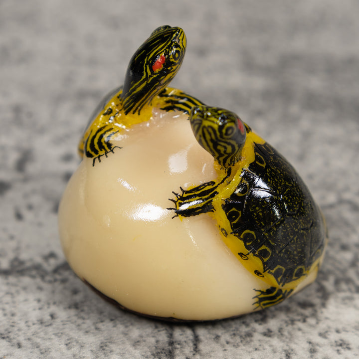 Double (2) Tortoise Turtle Tagua Carving