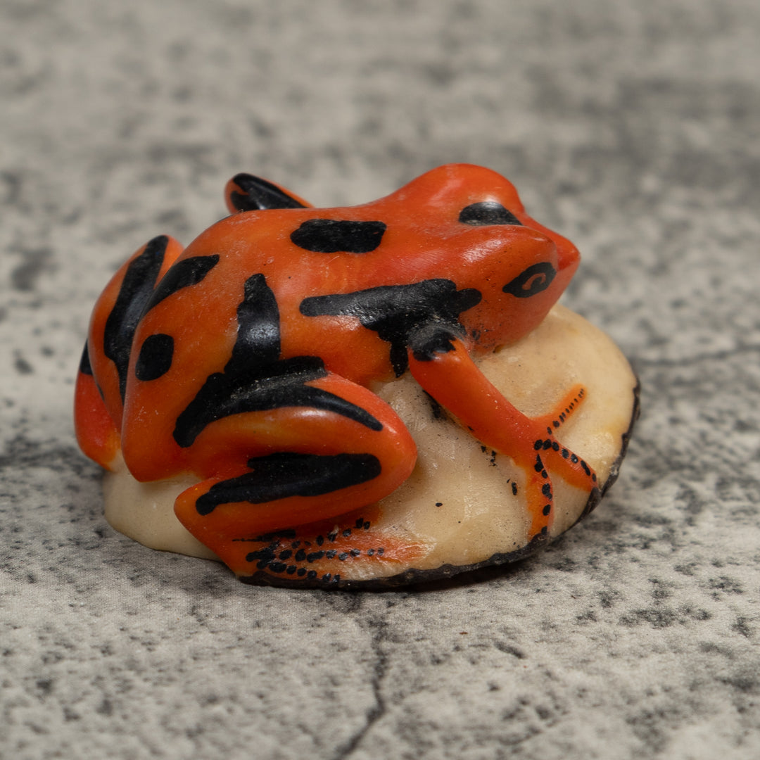 Orange And Black Poison Dart Frog Tagua Carving