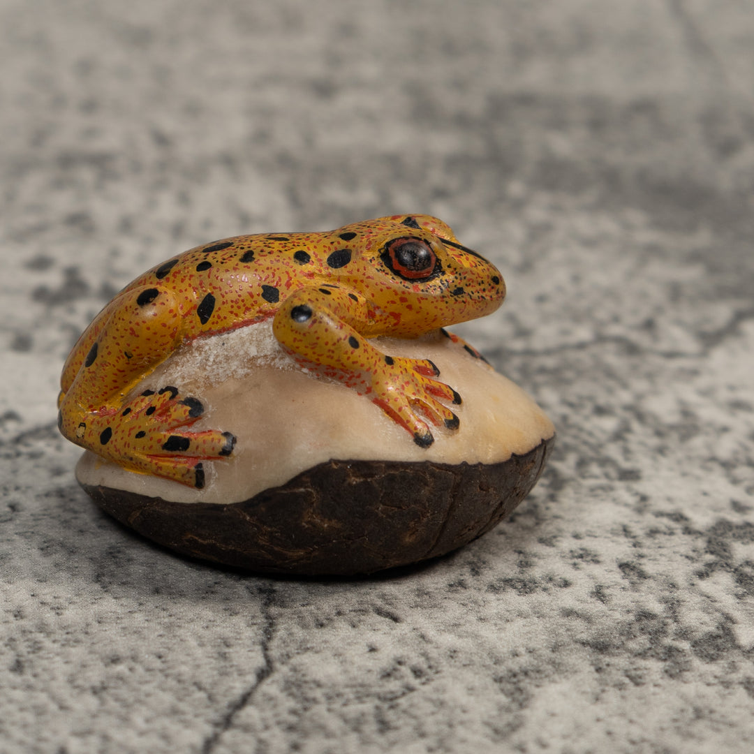Gold And Black Poison Dart Frog Tagua Carving