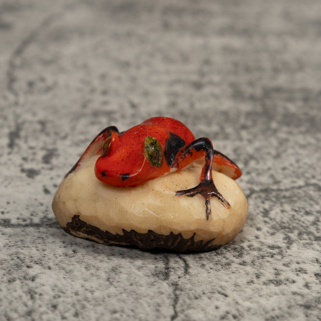 Vintage Red And Black Poison Dart Frog Tagua Carving