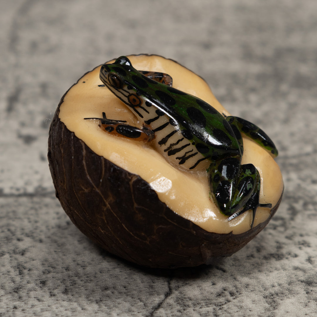 Poison Dart Frog Tagua Carving