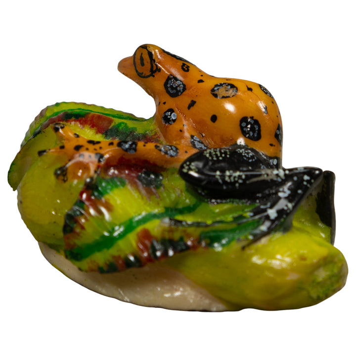 Golden Poison Dart Frog Tagua Carving