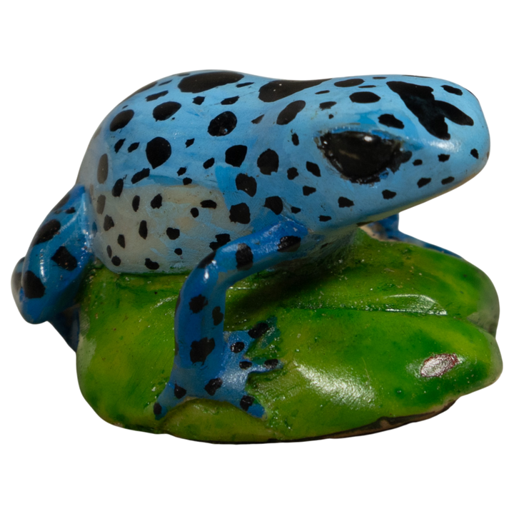 Poison Dart Blue Frog Tagua Carving