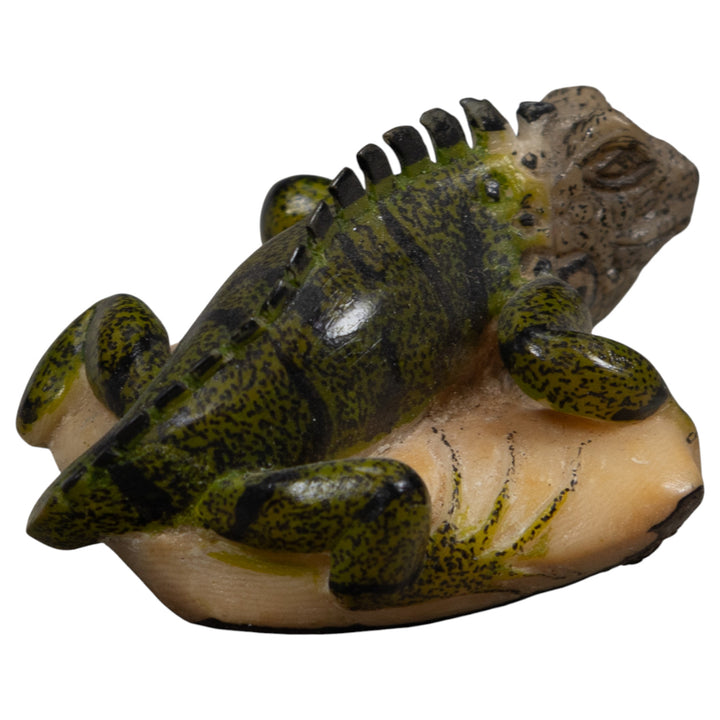 Iguana Lizard Reptile Tagua Carving