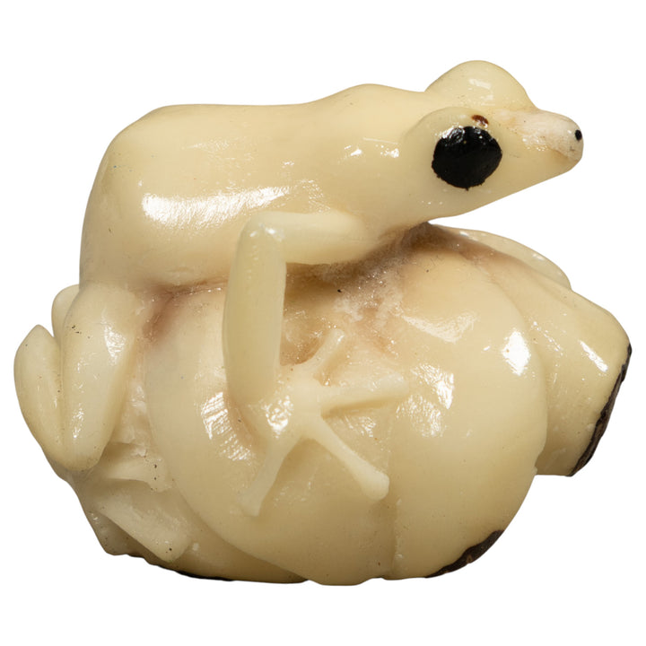 White Natural Frog Tagua Carving