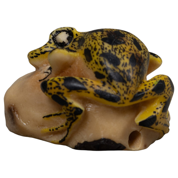 Poison Dart Frog Tagua Carving
