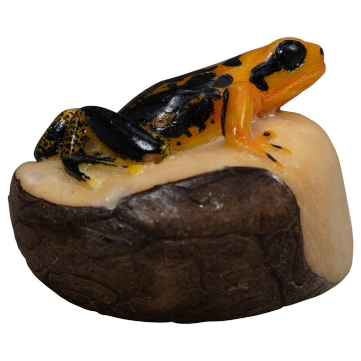 Black And Gold Poison Dart Frog Tagua Carving