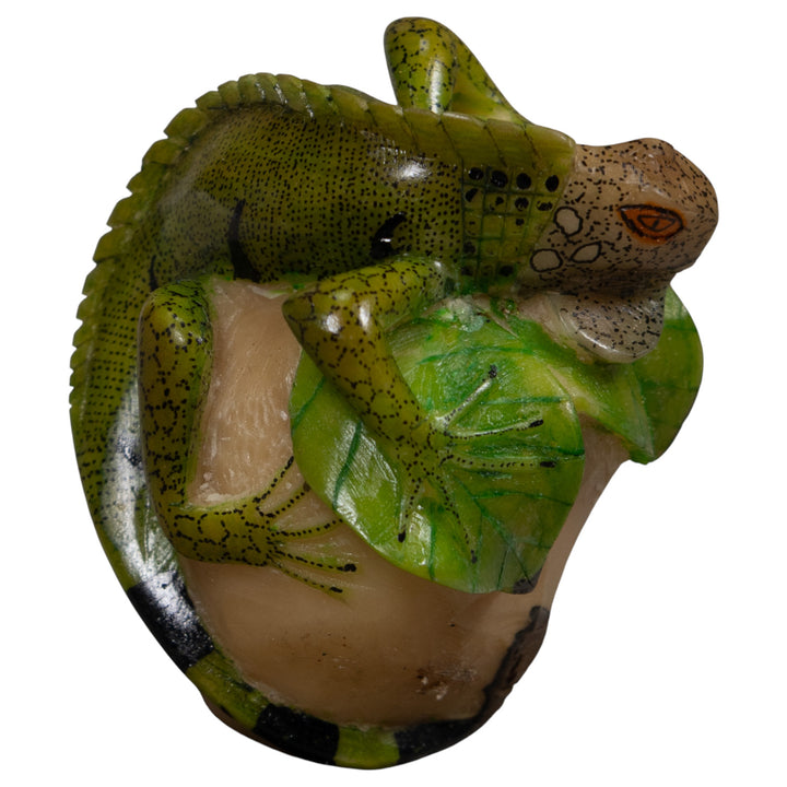 Iguana Lizard Reptile Tagua Carving