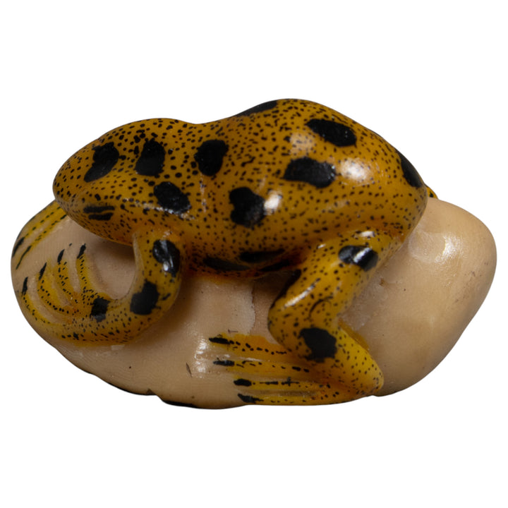 Vintage Golden Frog Tagua Carving