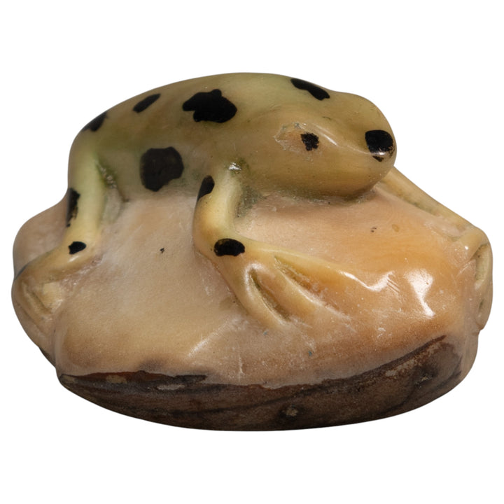 Pale Yellow And Black Jungle Frog Tagua Carving