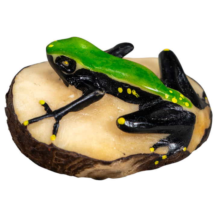 Black And Green Poison Dart Frog Tagua Carving