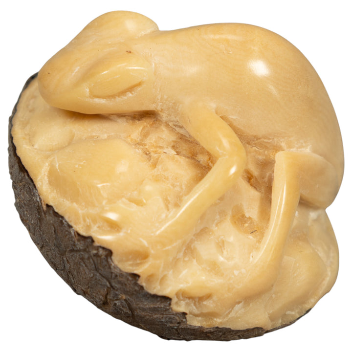 Natural White Frog Tagua Carving