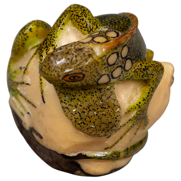 Iguana Lizard Reptile Tagua Carving