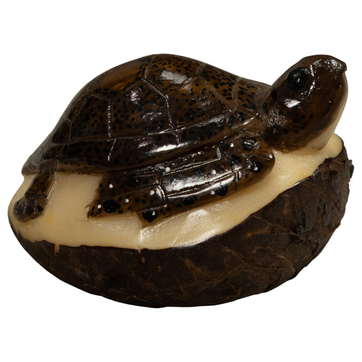 Sea Turtle Tagua Carving