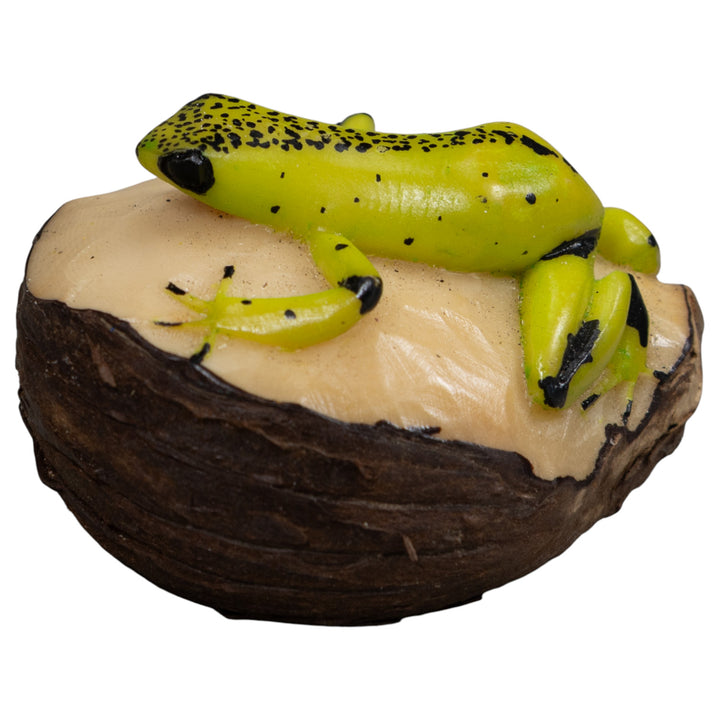 Poison Dart Frog Tagua Carving