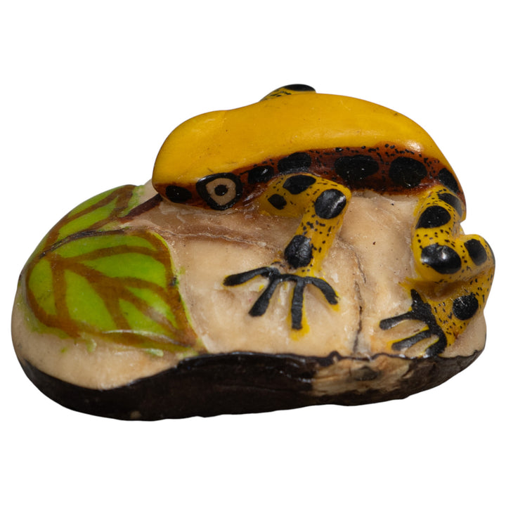 Gold And Black Poison Dart Frog Tagua Carving