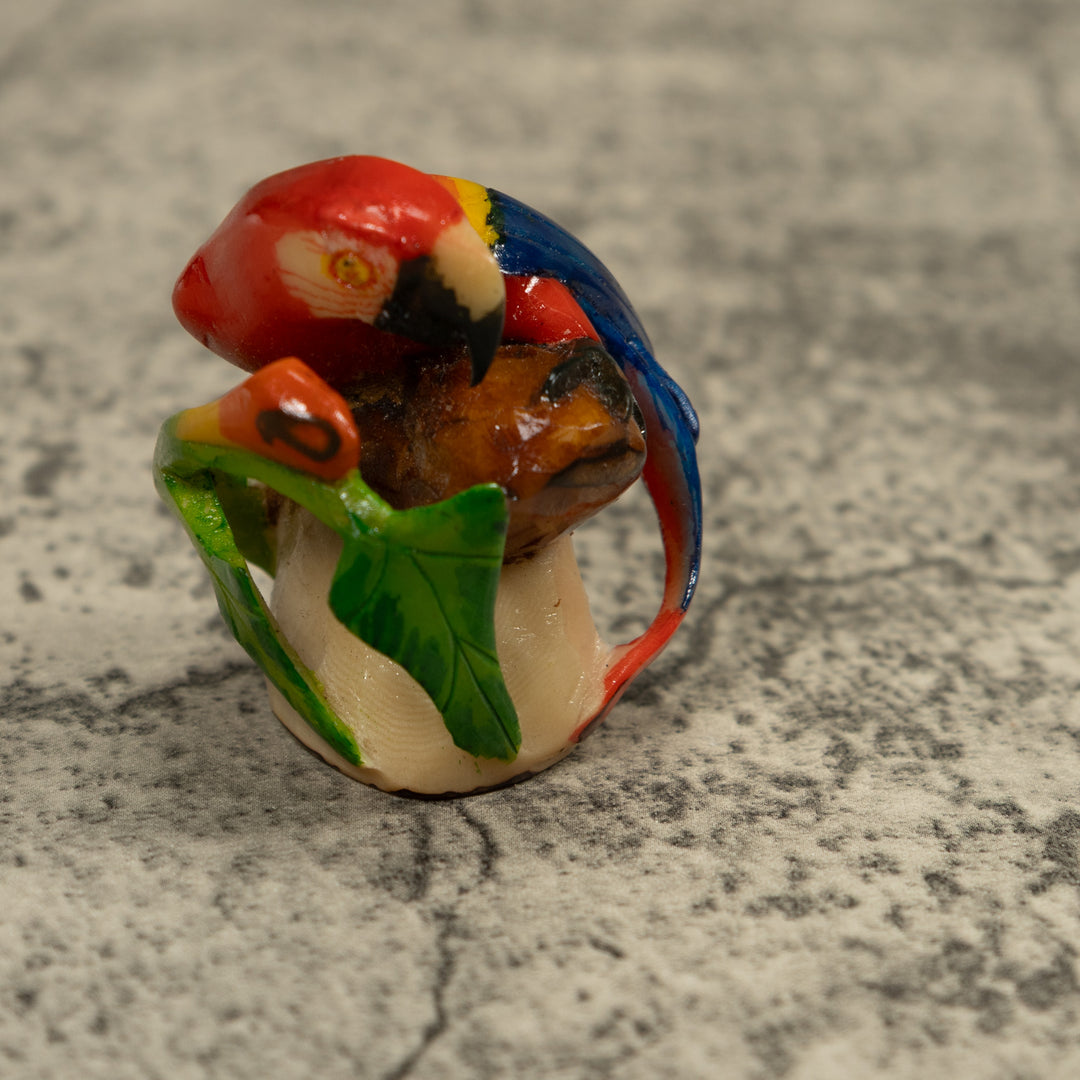 Macaw Parrot Bird Tagua Carving