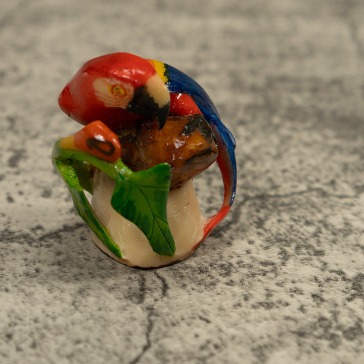 Macaw Parrot Bird Tagua Carving