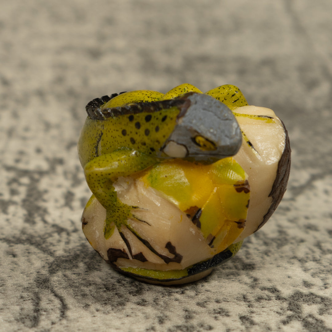 Iguana Lizard Reptile Tagua Carving